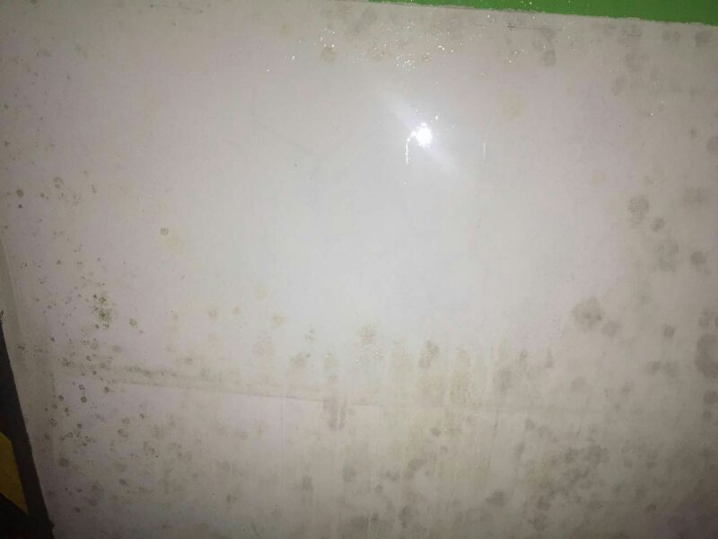 除霉劑圖片1.jpg